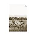 Picture of Bicycle Basket _GroupedProduct_Rectangle_Portrait_Photography _GroupedProduct_Rectangle_Portrait_Unframed_Print_Only_