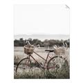 Picture of Bicycle Basket _GroupedProduct_Rectangle_Portrait_Photography _GroupedProduct_Rectangle_Portrait_Unframed_Print_Only_