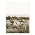 Picture of Bicycle Basket _GroupedProduct_Rectangle_Portrait_Photography _GroupedProduct_Rectangle_Portrait_Unframed_Print_Only_