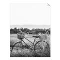 Picture of Bicycle Basket _GroupedProduct_Rectangle_Portrait_Photography _GroupedProduct_Rectangle_Portrait_Unframed_Print_Only_