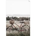 Picture of Bicycle Basket _GroupedProduct_Rectangle_Portrait_Photography _GroupedProduct_Rectangle_Portrait_Unframed_Print_Only_