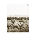 Picture of Bicycle Basket _GroupedProduct_Rectangle_Portrait_Photography _GroupedProduct_Rectangle_Portrait_Unframed_Print_Only_