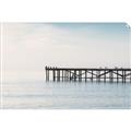 Picture of Birds on the Pier _GroupedProduct_Rectangle_Landscape_Photography _GroupedProduct_Rectangle_Landscape_Unframed_Print_Only_