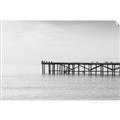 Picture of Birds on the Pier _GroupedProduct_Rectangle_Landscape_Photography _GroupedProduct_Rectangle_Landscape_Unframed_Print_Only_