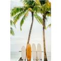 Picture of Boards on the Beach _GroupedProduct_Rectangle_Portrait_Photography _GroupedProduct_Rectangle_Portrait_Unframed_Print_Only_