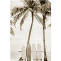 Picture of Boards on the Beach _GroupedProduct_Rectangle_Portrait_Photography _GroupedProduct_Rectangle_Portrait_Unframed_Print_Only_