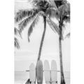 Picture of Boards on the Beach _GroupedProduct_Rectangle_Portrait_Photography _GroupedProduct_Rectangle_Portrait_Unframed_Print_Only_