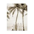 Picture of Boards on the Beach _GroupedProduct_Rectangle_Portrait_Photography _GroupedProduct_Rectangle_Portrait_Unframed_Print_Only_