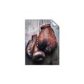 Picture of Boxing Gloves _GroupedProduct_Rectangle_Portrait_Photography _GroupedProduct_Rectangle_Portrait_Unframed_Print_Only_