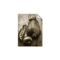 Picture of Boxing Gloves _GroupedProduct_Rectangle_Portrait_Photography _GroupedProduct_Rectangle_Portrait_Unframed_Print_Only_