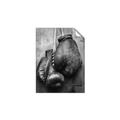 Picture of Boxing Gloves _GroupedProduct_Rectangle_Portrait_Photography _GroupedProduct_Rectangle_Portrait_Unframed_Print_Only_