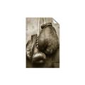 Picture of Boxing Gloves _GroupedProduct_Rectangle_Portrait_Photography _GroupedProduct_Rectangle_Portrait_Unframed_Print_Only_