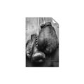 Picture of Boxing Gloves _GroupedProduct_Rectangle_Portrait_Photography _GroupedProduct_Rectangle_Portrait_Unframed_Print_Only_