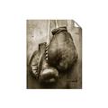 Picture of Boxing Gloves _GroupedProduct_Rectangle_Portrait_Photography _GroupedProduct_Rectangle_Portrait_Unframed_Print_Only_