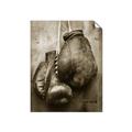 Picture of Boxing Gloves _GroupedProduct_Rectangle_Portrait_Photography _GroupedProduct_Rectangle_Portrait_Unframed_Print_Only_