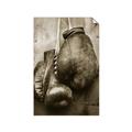 Picture of Boxing Gloves _GroupedProduct_Rectangle_Portrait_Photography _GroupedProduct_Rectangle_Portrait_Unframed_Print_Only_