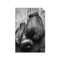 Picture of Boxing Gloves _GroupedProduct_Rectangle_Portrait_Photography _GroupedProduct_Rectangle_Portrait_Unframed_Print_Only_
