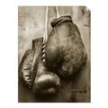 Picture of Boxing Gloves _GroupedProduct_Rectangle_Portrait_Photography _GroupedProduct_Rectangle_Portrait_Unframed_Print_Only_