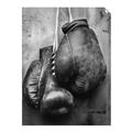 Picture of Boxing Gloves _GroupedProduct_Rectangle_Portrait_Photography _GroupedProduct_Rectangle_Portrait_Unframed_Print_Only_