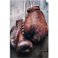Picture of Boxing Gloves _GroupedProduct_Rectangle_Portrait_Photography _GroupedProduct_Rectangle_Portrait_Unframed_Print_Only_