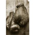 Picture of Boxing Gloves _GroupedProduct_Rectangle_Portrait_Photography _GroupedProduct_Rectangle_Portrait_Unframed_Print_Only_