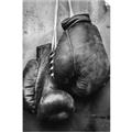 Picture of Boxing Gloves _GroupedProduct_Rectangle_Portrait_Photography _GroupedProduct_Rectangle_Portrait_Unframed_Print_Only_