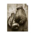 Picture of Boxing Gloves _GroupedProduct_Rectangle_Portrait_Photography _GroupedProduct_Rectangle_Portrait_Unframed_Print_Only_