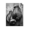 Picture of Boxing Gloves _GroupedProduct_Rectangle_Portrait_Photography _GroupedProduct_Rectangle_Portrait_Unframed_Print_Only_
