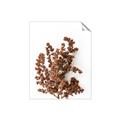 Picture of Brown Fall  _GroupedProduct_Rectangle_Portrait_Photography _GroupedProduct_Rectangle_Portrait_Unframed_Print_Only_