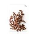 Picture of Brown Fall  _GroupedProduct_Rectangle_Portrait_Photography _GroupedProduct_Rectangle_Portrait_Unframed_Print_Only_