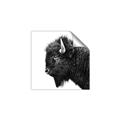 Picture of Buffalo Head _GroupedProduct_Square_Photography _GroupedProduct_Square_Unframed_Print_Only_