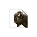 Picture of Buffalo Head _GroupedProduct_Square_Photography _GroupedProduct_Square_Unframed_Print_Only_
