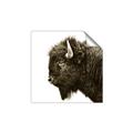 Picture of Buffalo Head _GroupedProduct_Square_Photography _GroupedProduct_Square_Unframed_Print_Only_