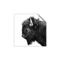 Picture of Buffalo Head _GroupedProduct_Square_Photography _GroupedProduct_Square_Unframed_Print_Only_