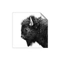 Picture of Buffalo Head _GroupedProduct_Square_Photography _GroupedProduct_Square_Unframed_Print_Only_