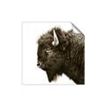Picture of Buffalo Head _GroupedProduct_Square_Photography _GroupedProduct_Square_Unframed_Print_Only_