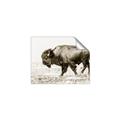 Picture of Buffalo March _GroupedProduct_Rectangle_Landscape_Photography _GroupedProduct_Rectangle_Landscape_Unframed_Print_Only_