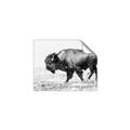 Picture of Buffalo March _GroupedProduct_Rectangle_Landscape_Photography _GroupedProduct_Rectangle_Landscape_Unframed_Print_Only_