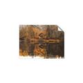 Picture of Cabin in the Woods  _GroupedProduct_Rectangle_Landscape_Unframed_Print_Only_