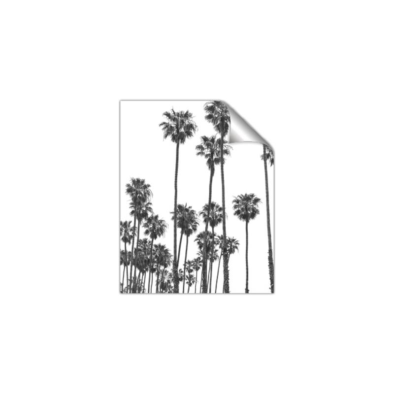 Picture of California Palms _GroupedProduct_Rectangle_Portrait_Photography _GroupedProduct_Rectangle_Portrait_Unframed_Print_Only_