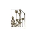 Picture of California Palms _GroupedProduct_Rectangle_Portrait_Photography _GroupedProduct_Rectangle_Portrait_Unframed_Print_Only_