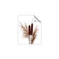 Picture of Cattails  _GroupedProduct_Rectangle_Portrait_Photography _GroupedProduct_Rectangle_Portrait_Unframed_Print_Only_
