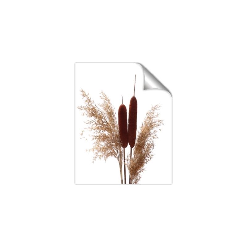 Picture of Cattails  _GroupedProduct_Rectangle_Portrait_Photography _GroupedProduct_Rectangle_Portrait_Unframed_Print_Only_