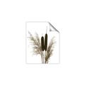 Picture of Cattails  _GroupedProduct_Rectangle_Portrait_Photography _GroupedProduct_Rectangle_Portrait_Unframed_Print_Only_