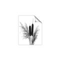 Picture of Cattails  _GroupedProduct_Rectangle_Portrait_Photography _GroupedProduct_Rectangle_Portrait_Unframed_Print_Only_