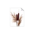 Picture of Cattails  _GroupedProduct_Rectangle_Portrait_Photography _GroupedProduct_Rectangle_Portrait_Unframed_Print_Only_