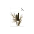 Picture of Cattails  _GroupedProduct_Rectangle_Portrait_Photography _GroupedProduct_Rectangle_Portrait_Unframed_Print_Only_