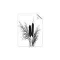 Picture of Cattails  _GroupedProduct_Rectangle_Portrait_Photography _GroupedProduct_Rectangle_Portrait_Unframed_Print_Only_