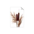 Picture of Cattails  _GroupedProduct_Rectangle_Portrait_Photography _GroupedProduct_Rectangle_Portrait_Unframed_Print_Only_