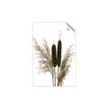 Picture of Cattails  _GroupedProduct_Rectangle_Portrait_Photography _GroupedProduct_Rectangle_Portrait_Unframed_Print_Only_
